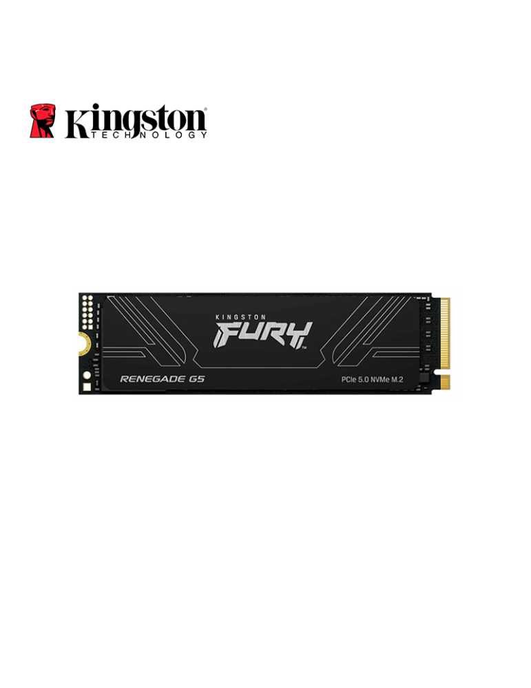 SSD M.2 Kingston Fury Renegade G5 1024GB NVME (SFYR2S/1T0)