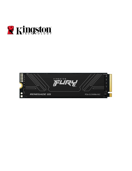 SSD M.2 Kingston Fury Renegade G5 1024GB NVME (SFYR2S/1T0)