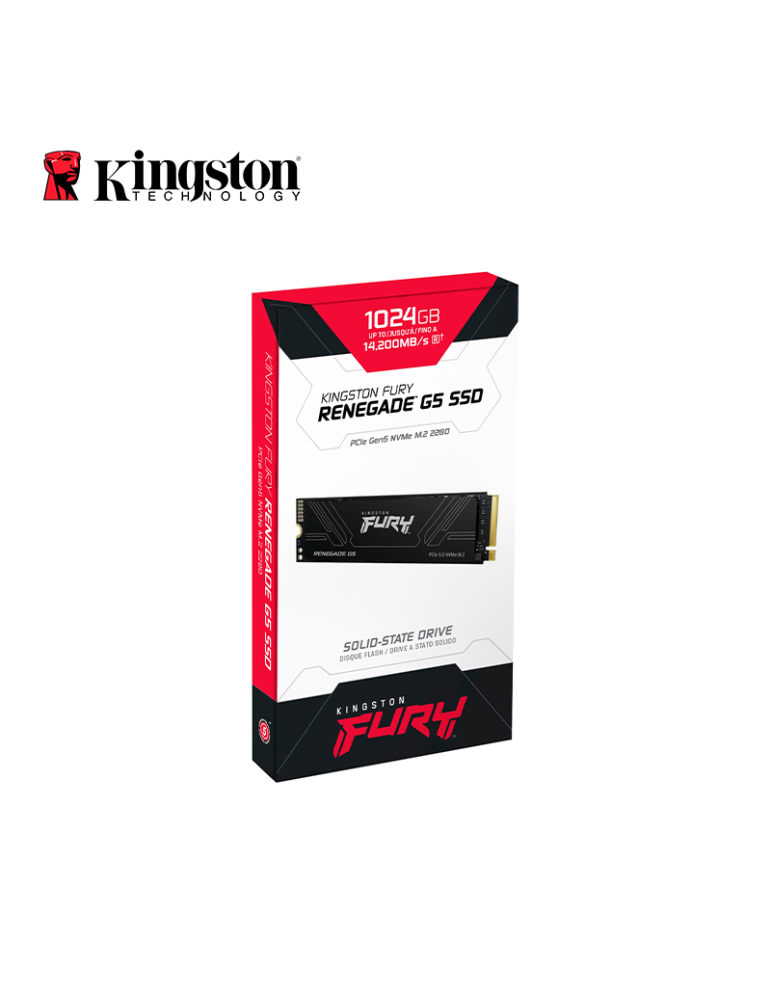 SSD M.2 Kingston Fury Renegade G5 1024GB NVME (SFYR2S/1T0)