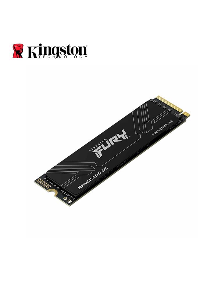 SSD M.2 Kingston Fury Renegade G5 1024GB NVME (SFYR2S/1T0)