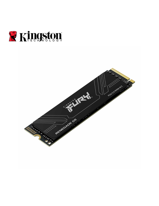 SSD M.2 Kingston Fury Renegade G5 1024GB NVME (SFYR2S/1T0)