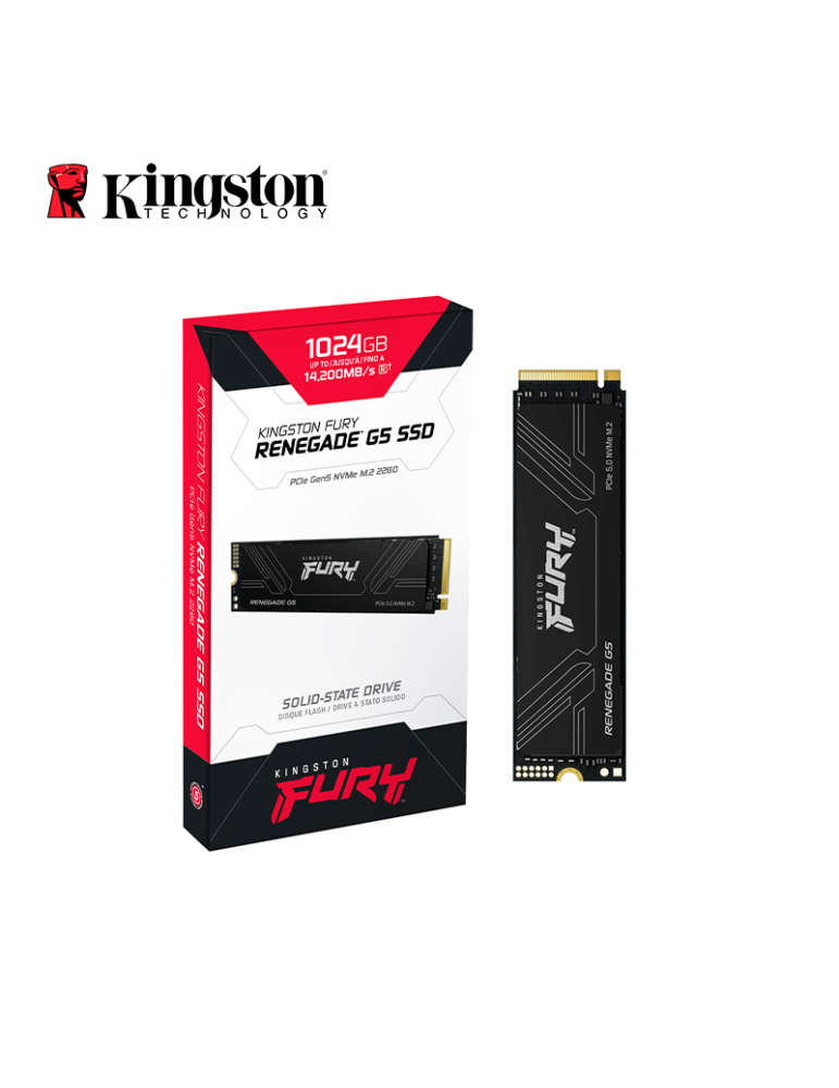 SSD M.2 Kingston Fury Renegade G5 1024GB NVME (SFYR2S/1T0)