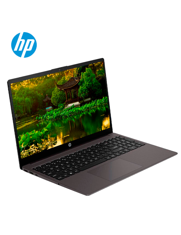 Laptop HP 255 G10 Amd Ryzen 3 7320U 8GB 256GB SSD 15.6" FreeDos (A9BS1LT#ABM)