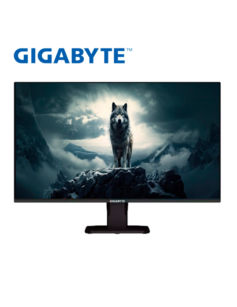 MONITOR 25" GAMING GIGABYTE FHD 200HZ IPS 1MS HDMI PD (GS25F2)
