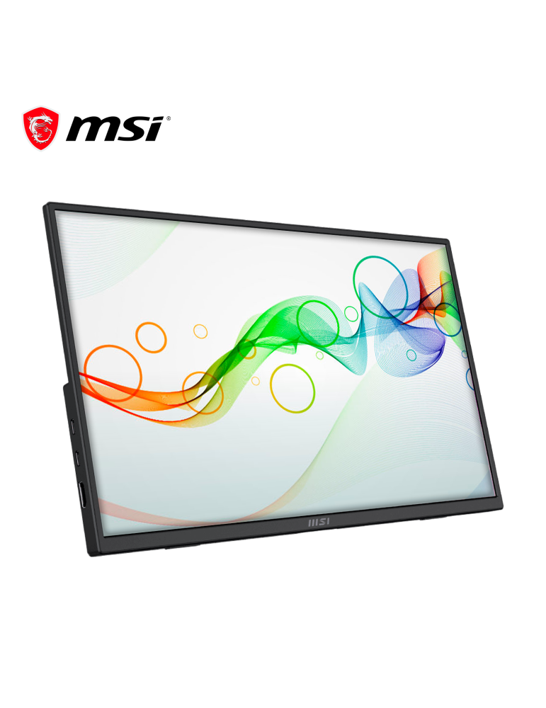 Monitor Portatil 15.6" MSI Pro MP165 E6 FHD IPS C/ Parlante Integrado (9S6-3PE50M-004)