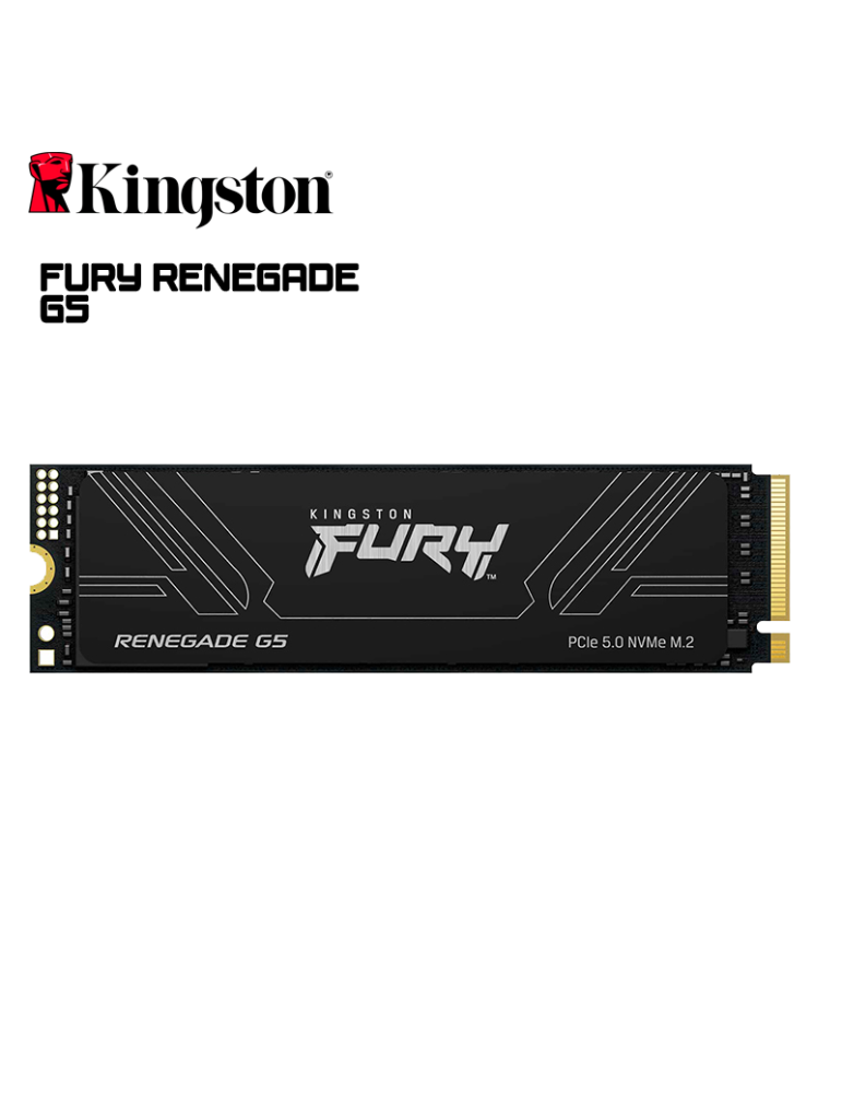 SSD M.2 KINGSTON FURY RENEGADE G5 2048GB NVME (SFYR2S/2T0)